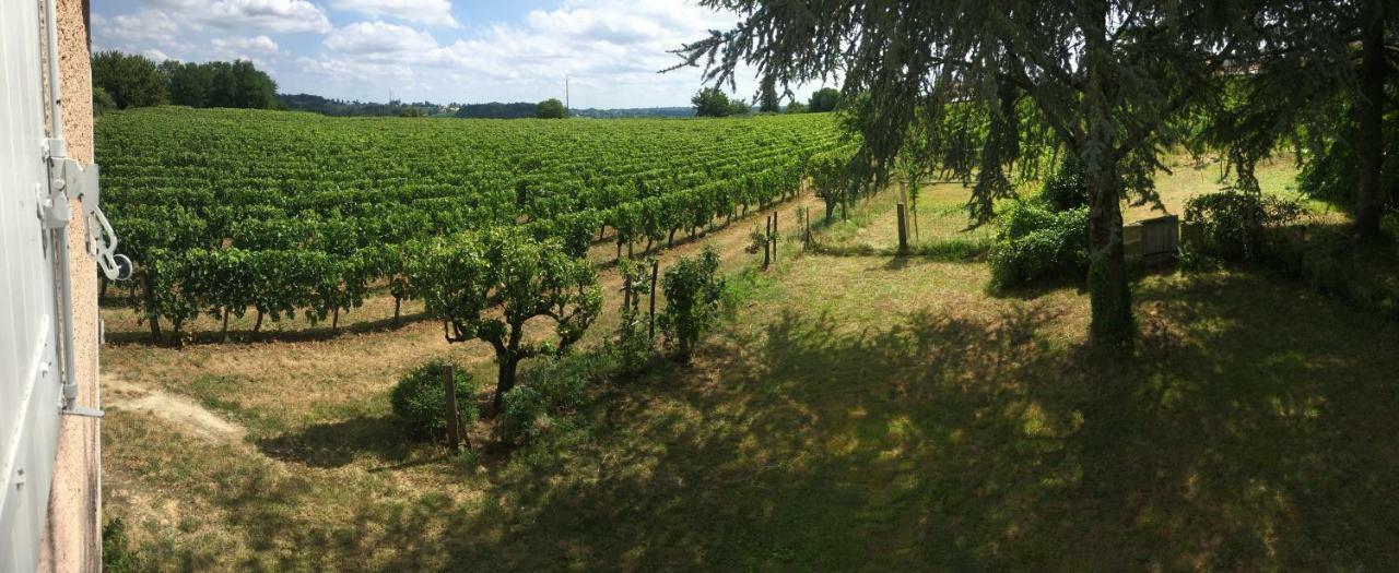Mirande Montagne-saint Emilion * Montagne (Gironde)